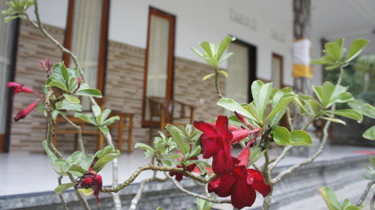 Klotok Home Stay Nusa Batununggul Luaran gambar